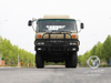 Donggfeng EQ2102N Безусловский грузовик-210 л.с. Двойной пустынный грузовой автомобиль | Экспортная модель | Кондиционер с брезентом
