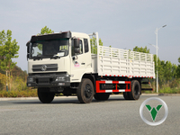 Четырехколесный въезд внедорожников Шасси Dongfeng 4*4 Специальные автомобильные грузовики.