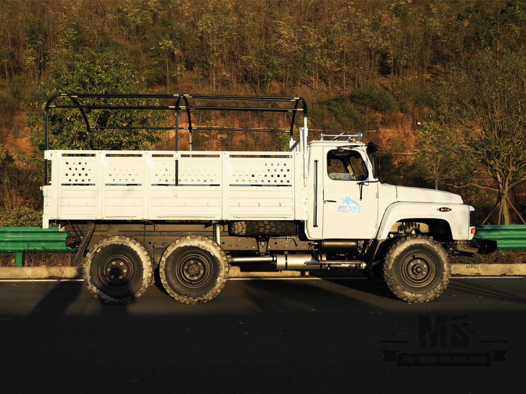 EQ2082 Dongfeng 6WD Tip CakTrucks 6x6 Внедорожные грузовики Внедорожные транспортные средства только для выезда