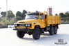 6*6 Dongfeng EQ2082 Pointed Truck_Шестиколесный привод мощностью 170 л.с. EQ240 Внедорожный грузовой автомобиль_25Y Грузовой экспортный специальный автомобиль