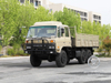 Donggfeng EQ2102N Безусловский грузовик-210 л.с. Двойной пустынный грузовой автомобиль | Экспортная модель | Кондиционер с брезентом