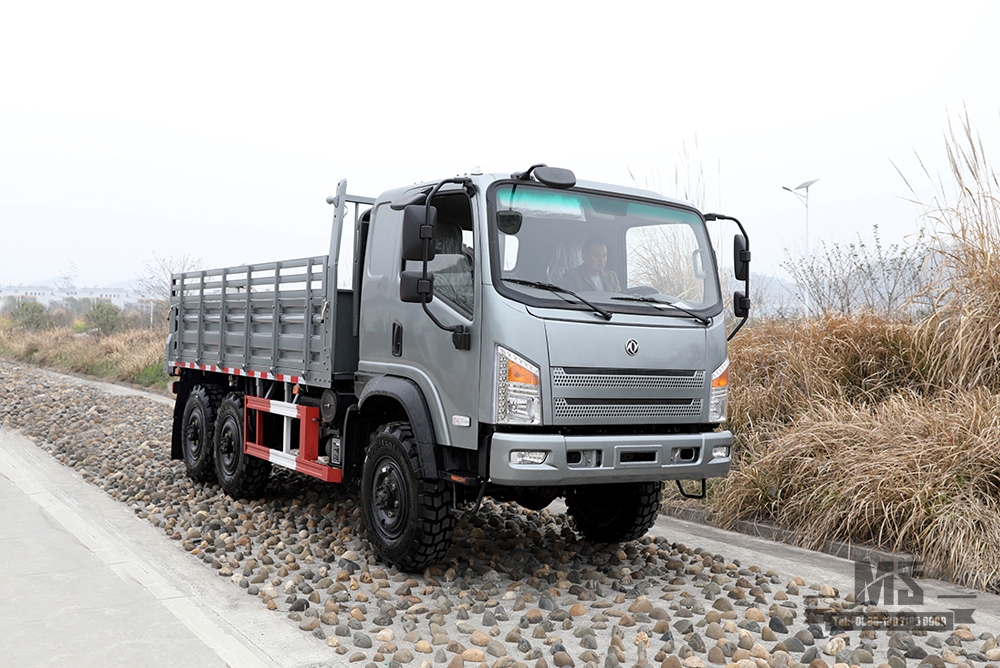 Полноприводной полноприводный грузовик Dongfeng Silver в конфигурации _ 6 × 6, 190 л.с., производитель внедорожных легких грузовиков с плоской головкой_ 6 * 6, экспортное предложение специального автомобиля