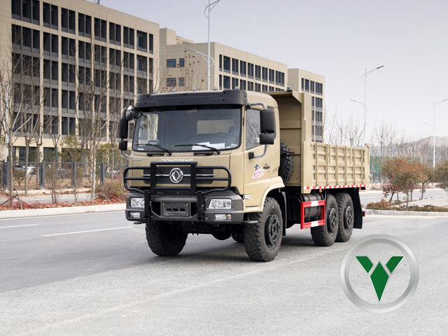 6x6 Flatbed Surm Truck | Тяжелый свалки с съемными сторонами