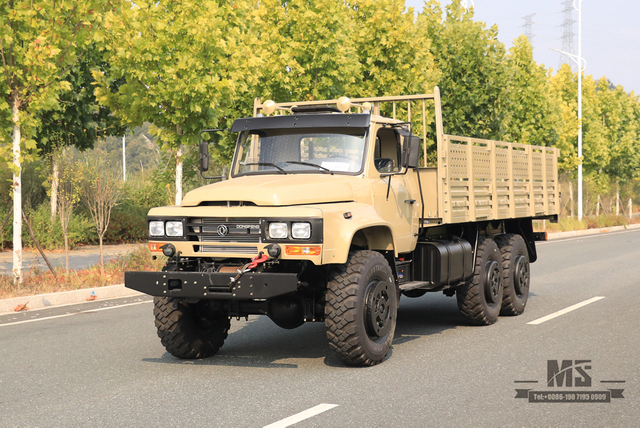 Dongfeng 6×6 EQ2100 Truck_6*6 с остроконечной головкой, 190 л.с., шестиколесный внедорожный грузовик_Export Special Vehicle