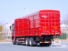 Dongfeng 31-тонный грузовой автомобиль с удлиненной кабиной и удлиненным кузовом (500 л.с.) | Специальные экспортные грузовики 