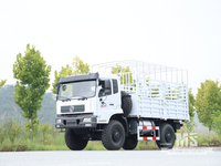 Dongfeng 4×4 Внедорожный грузовой автомобиль с высоким ограждением | EQ3186GP6