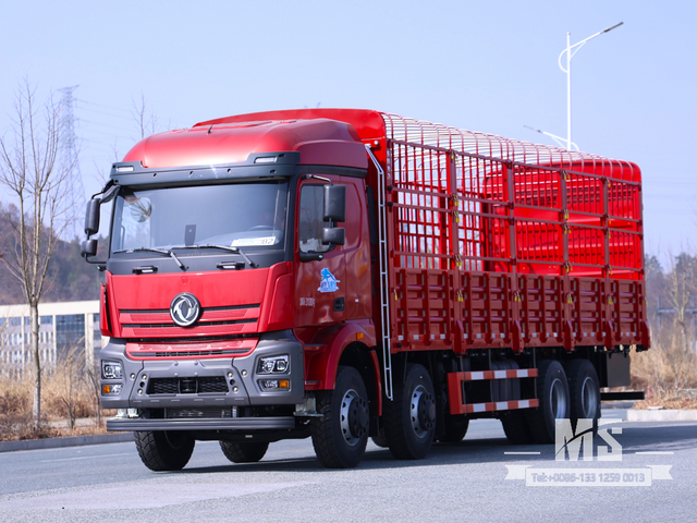 Dongfeng 31-тонный грузовой автомобиль с удлиненной кабиной и удлиненным кузовом (500 л.с.) | Специальные экспортные грузовики 