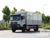 Dongfeng 21-тонный транспортный фургон с плоской полукабиной CaogoTruck (210 л.с.) | Специальные экспортные грузовики 
